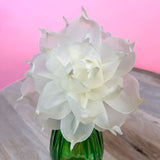 Gardenia Large Blossom Paper Flower Diffuser