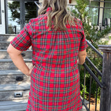 Teddy Mini Dress - Curvy