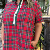 Teddy Mini Dress - Curvy