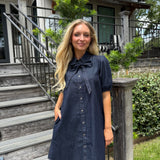 Taylor Denim Mini Dress