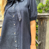 Taylor Denim Mini Dress