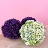 4in Sedum Ball